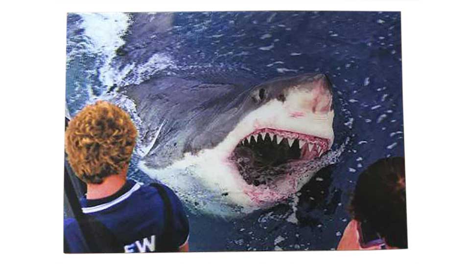 3D Postcard
