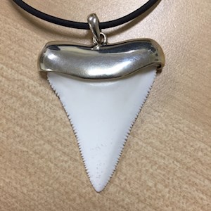 Shark tooth - Replica in Sterling Silver