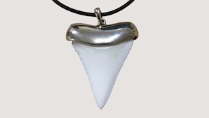 Shark tooth - Replica in Sterling Silver