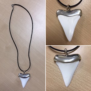 Shark tooth - Replica in Sterling Silver