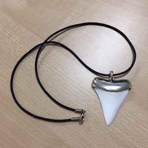 Shark tooth - Replica in Sterling Silver