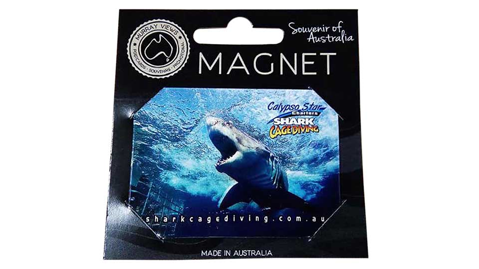 Fridge magnet