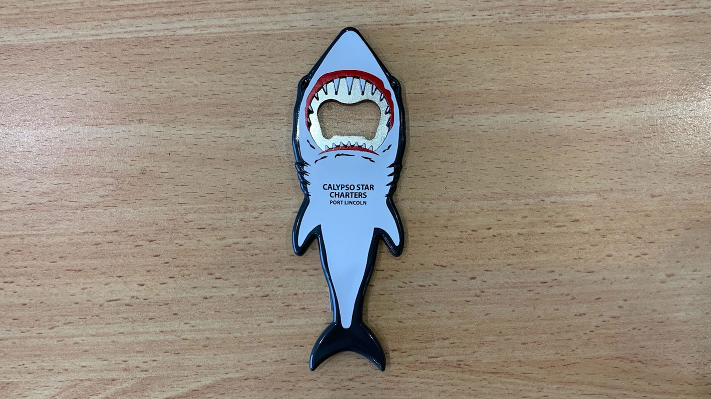 Bottle Opener plus Magnet