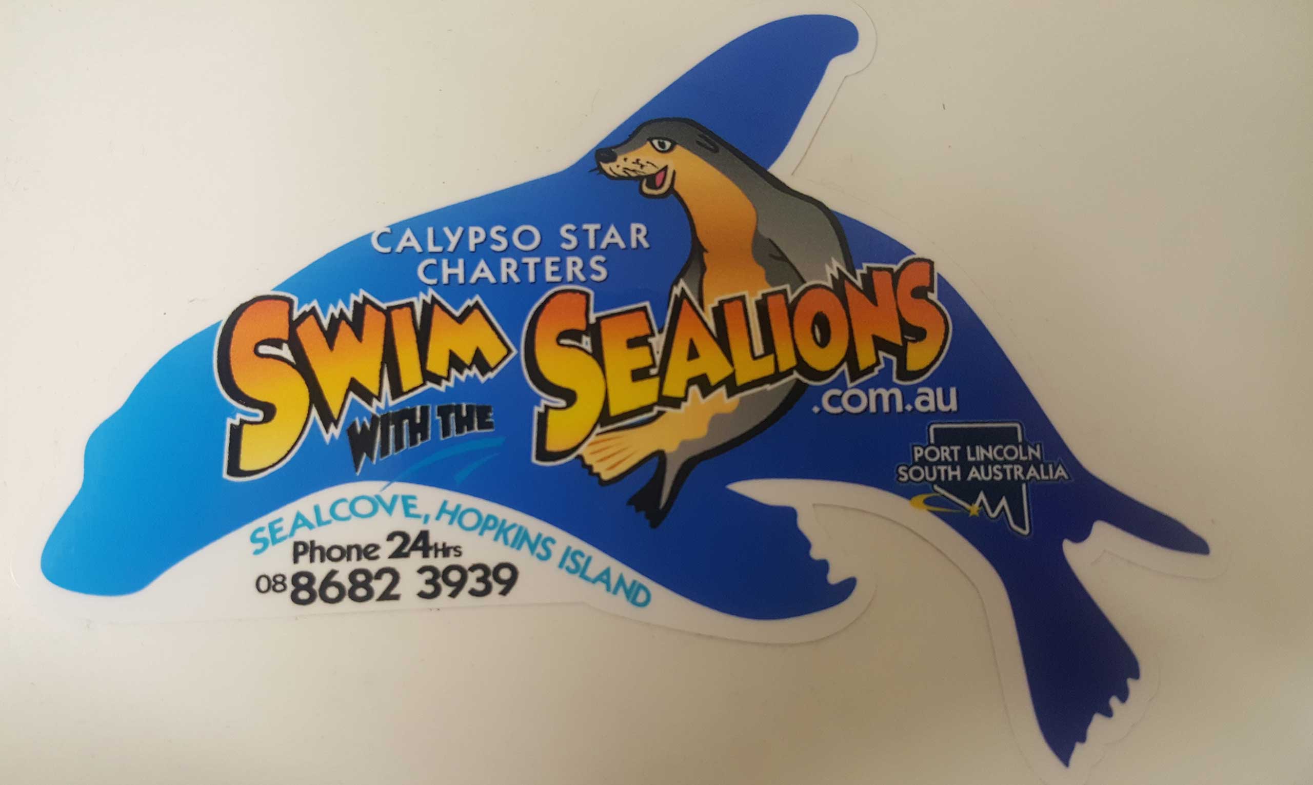 Swim with the Sealions sticker