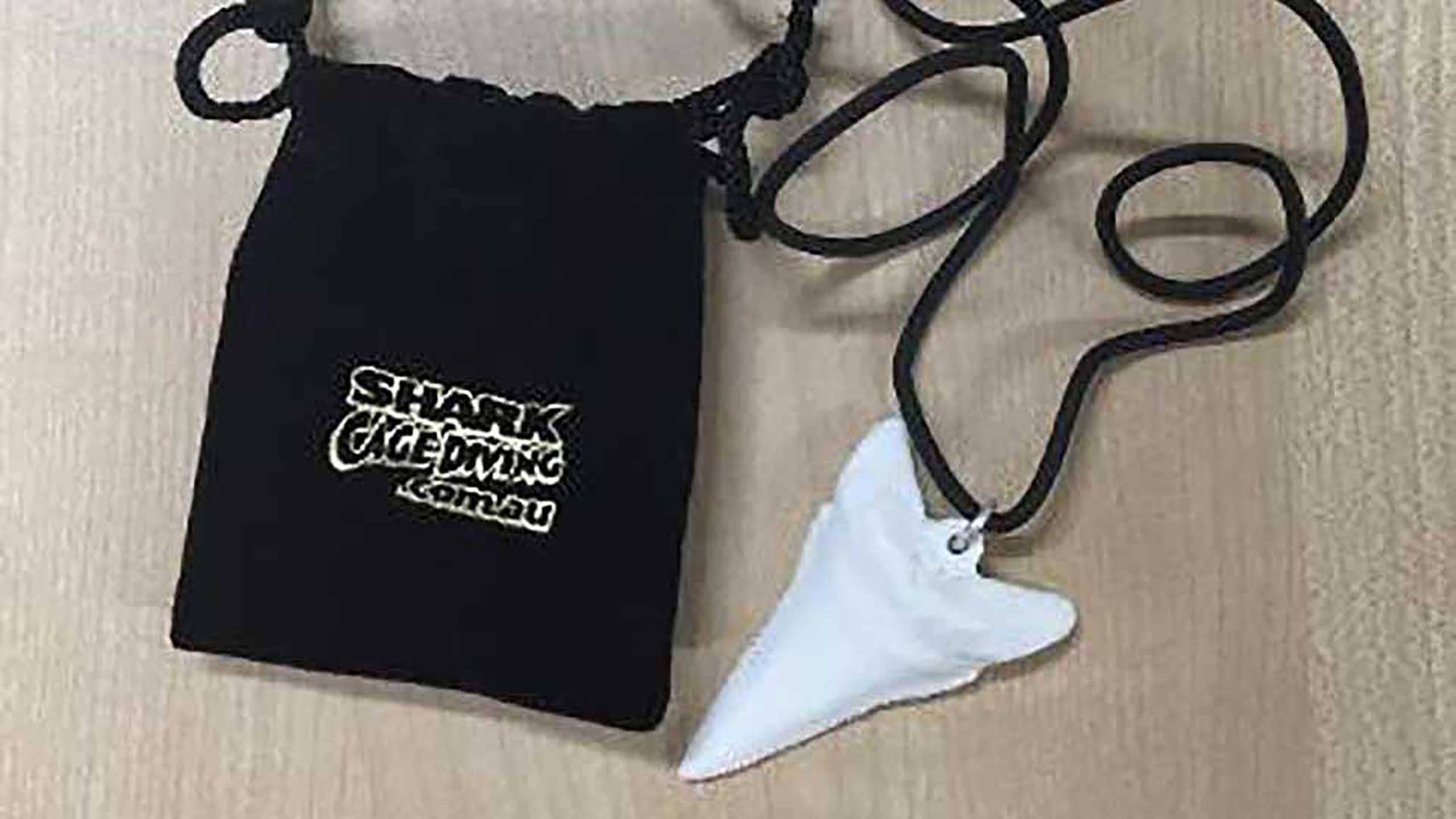 Shark Tooth Necklace - Large