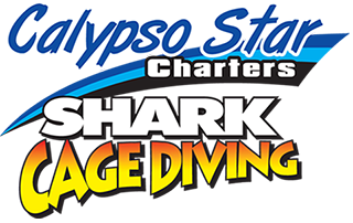 Advanced Eco Certified Shark Cage Diving Charters Australia